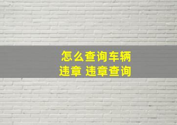 怎么查询车辆违章 违章查询